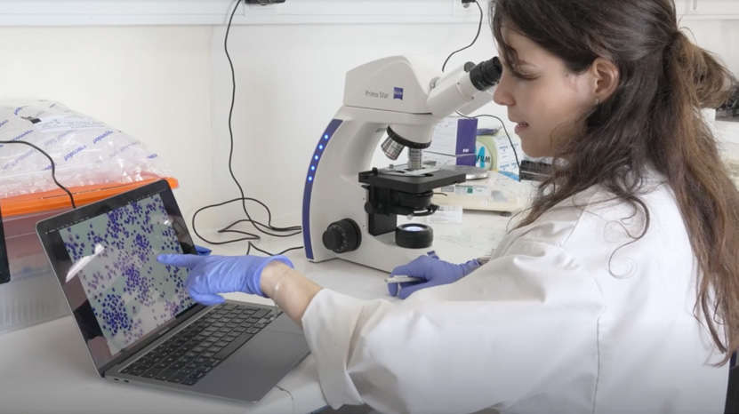 News from the MCAA - How marine life is shaping the future of medicine - September 2025